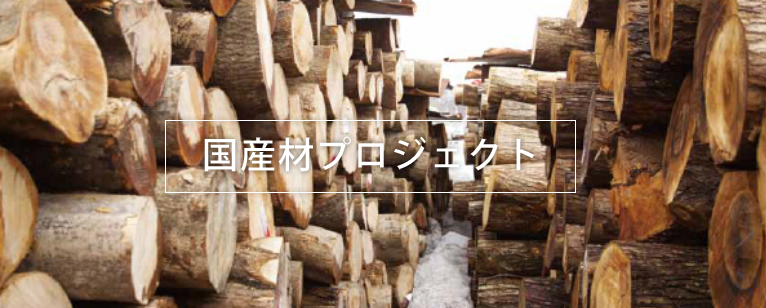 �񻺺�ץ���������