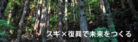 スギ×復興で未来をつくる