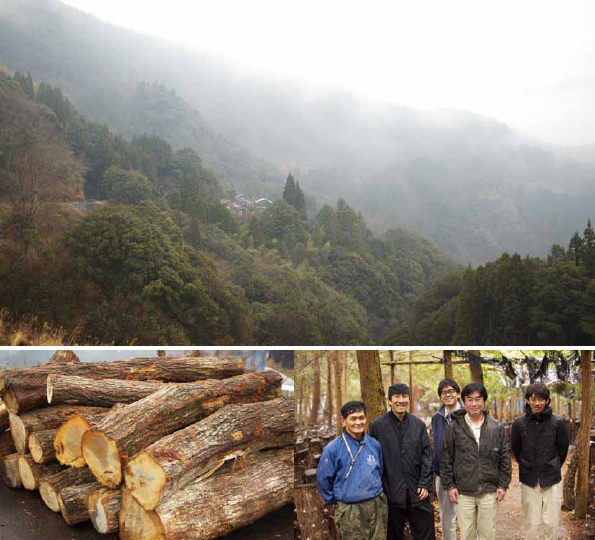 ���ͤɤ󤰤����ѥץ���������